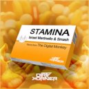 Israel Martinello & Smash - Stamina (The Digital Monkey Remix)