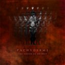 Pachyderme - Une Saison En Enfer