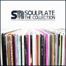 Soulplate & Viper Strike feat. Charmaine - Never Deny (Viper Strikes Cheeky Instrumental Mix)