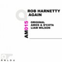 Rob Harnetty - Again