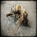 Beat Rapist - Decay (Original Mix)