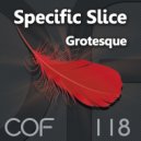 Specific Slice - Amulet