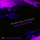 Blufeld Pres. Intimate - Velvet Undertones (Victor Lyalchuk Remix)