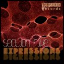 Section Five - Digressions (Original Mix)