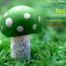 Pavel Petrov - Past