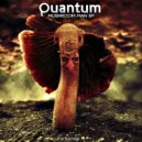 Quantum - Another Way To Rock!