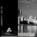 Andrew H - Sup (Craig Scully Remix)