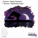 Dynamic - Momentary Switch
