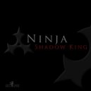 Cyber Ninja - Shadow King