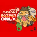 The Vibes Organization ft. Maggie Smile - Only (Chillout Mix)