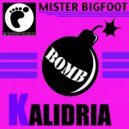 Mister Bigfoot - Ritual Woodoo