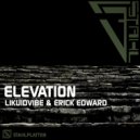 Likuidvibe & Erick Edward - Elevation (Elevated Mood Remix)