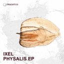 Ixel - Desaster