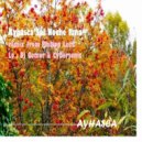 Ayhasca Ernesto - Sol Noche Luna (Dj Gomor & Cybersonic Remix)