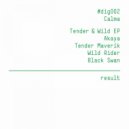 Calma - Wild Rider (Original Mix)