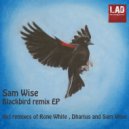Sam Wise - Blackbird (Dharius Remix)