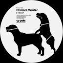 Chmara Winter Feat. Ewa Prus - Would You Like To F Me (Walker & Royce Remix)