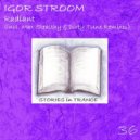Igor Stroom - Radiant (Dirty Tune Remix)