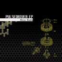Rico Buda - Pulsedriver