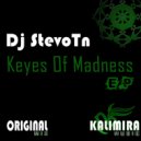 Dj Stevo Tn - Paranoia 2012 (Original Mix)