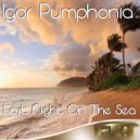 Igor Pumphonia - Temporary Equilibrium