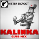 Mister Bigfoot - Kalinka (Radio Edit)