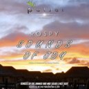 Rospy - Sounds Of Joy