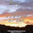 Rospy - Sounds Of Joy (The Jammer Remix)