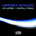 Raffaele Iannucci - Sunny Snow