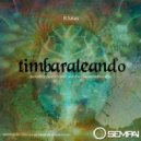 R. Salas - Timbaraleando (Capo & Comes Remix)