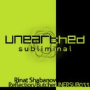 Rinat Shabanov - Butcher