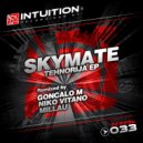 Skymate - Tehnorija (Niko Vitano Remix)