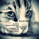 David Divine - Cats Mind (D.J.S Remix)
