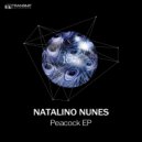 Natalino Nunes - Mind Control