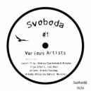 Ilya Schulz - Novokosino