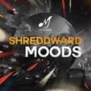 Shreddward - Then & Now (Original Mix)