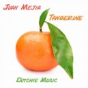 Juan Mejia - Higuita (The Disclosure Project Remix)