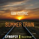 Ray Cosmic - Summer Train (Ray\'s Lick da Honey Club Dub)