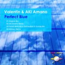 Valentin & AKI Amano - Perfect Blue (Shintaro Remix)