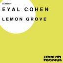 Eyal Cohen - Lemon Grove (Matteo Pitton Remix)