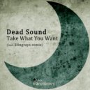 Dead Sound - Take What You Want (Stingrays Remix)