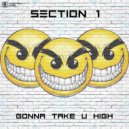 Section 1 - Solar Wind
