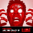 Kidnappers - Are You Crazy?