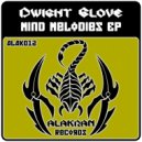 Dwight Glove - Dancing For Eternity (Dj Raid Remix)