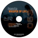 Serdar Ors - Put Your Hands Up