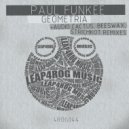Paul Funkee - Geometria (Audio Cactus Remix)