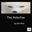 Sam Wise - The PolarFox (Original Mix)