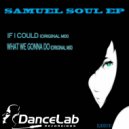 Samuel Soul - What We Gonna Do