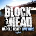 Harold Heath - Rogues & Thieves
