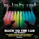E-Lab Rat - The Head (Kieran M Remix)
